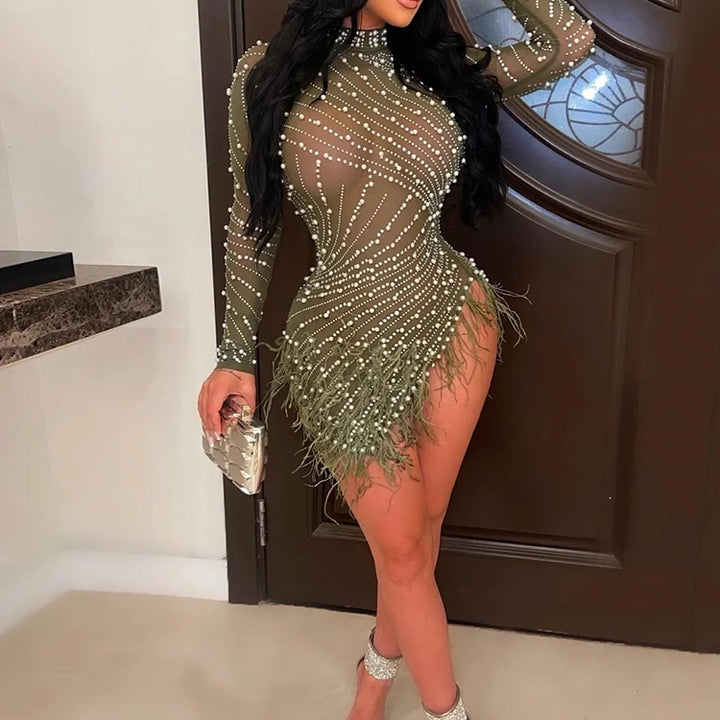 Dress Feathers Sheer Mesh Short Dresses for Women Sexy