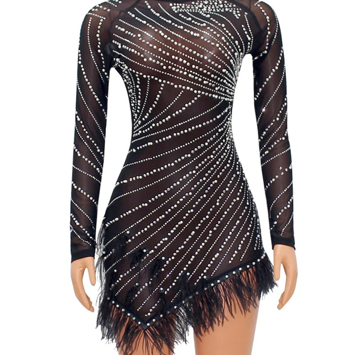 Dress Feathers Sheer Mesh Short Dresses for Women Sexy